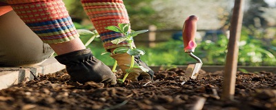Practical Gardening Gardener, garden hand tools, garden tools, Manufacturer, Supplier, Kismat welding works