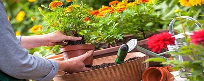 Practical Gardening Gardener, garden hand tools, garden tools, Manufacturer, Supplier, Kismat welding works