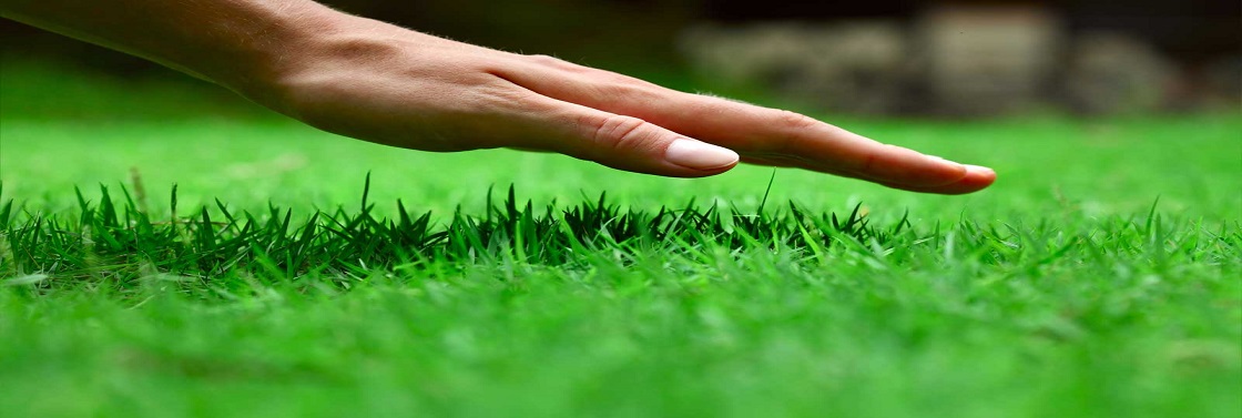 Caring Your Garden Full HD, garden hand tools, garden tools, Manufacturer, Supplier, Kismat welding works