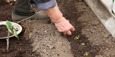 Practical Planting, Ground Preparing For Planting Full HD, garden hand tools, garden tools, Manufacturer, Supplier, Kismat welding works